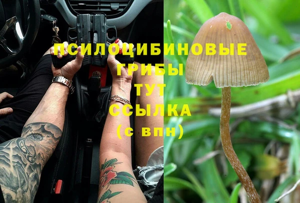 спиды Богородск