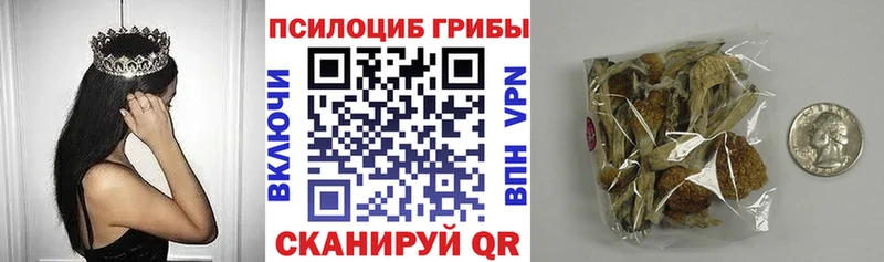 Псилоцибиновые грибы ЛСД Верхняя Тура